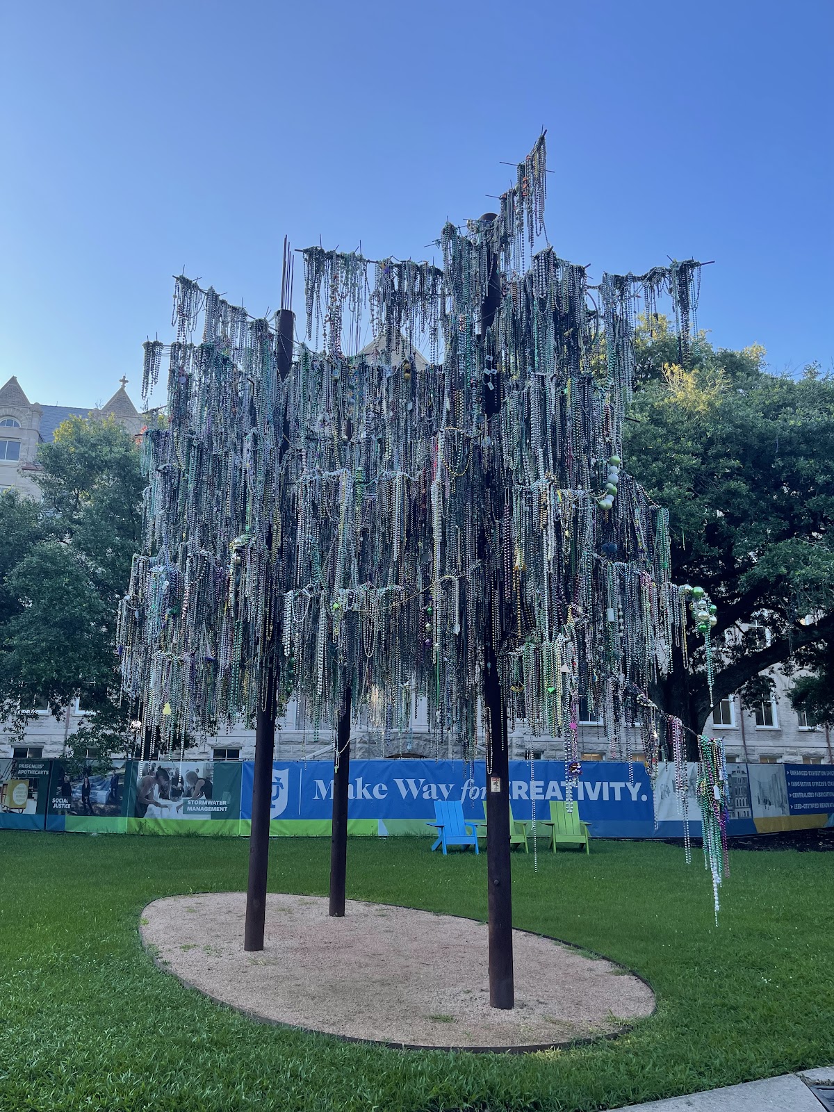 Tulane University photo 6