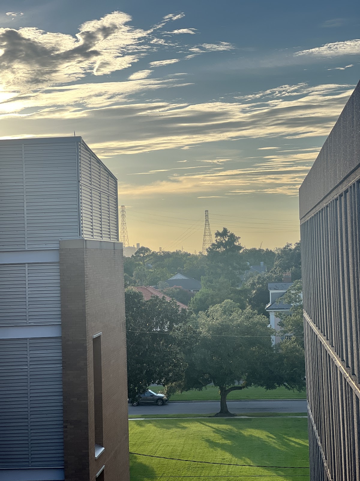 Tulane University photo 8