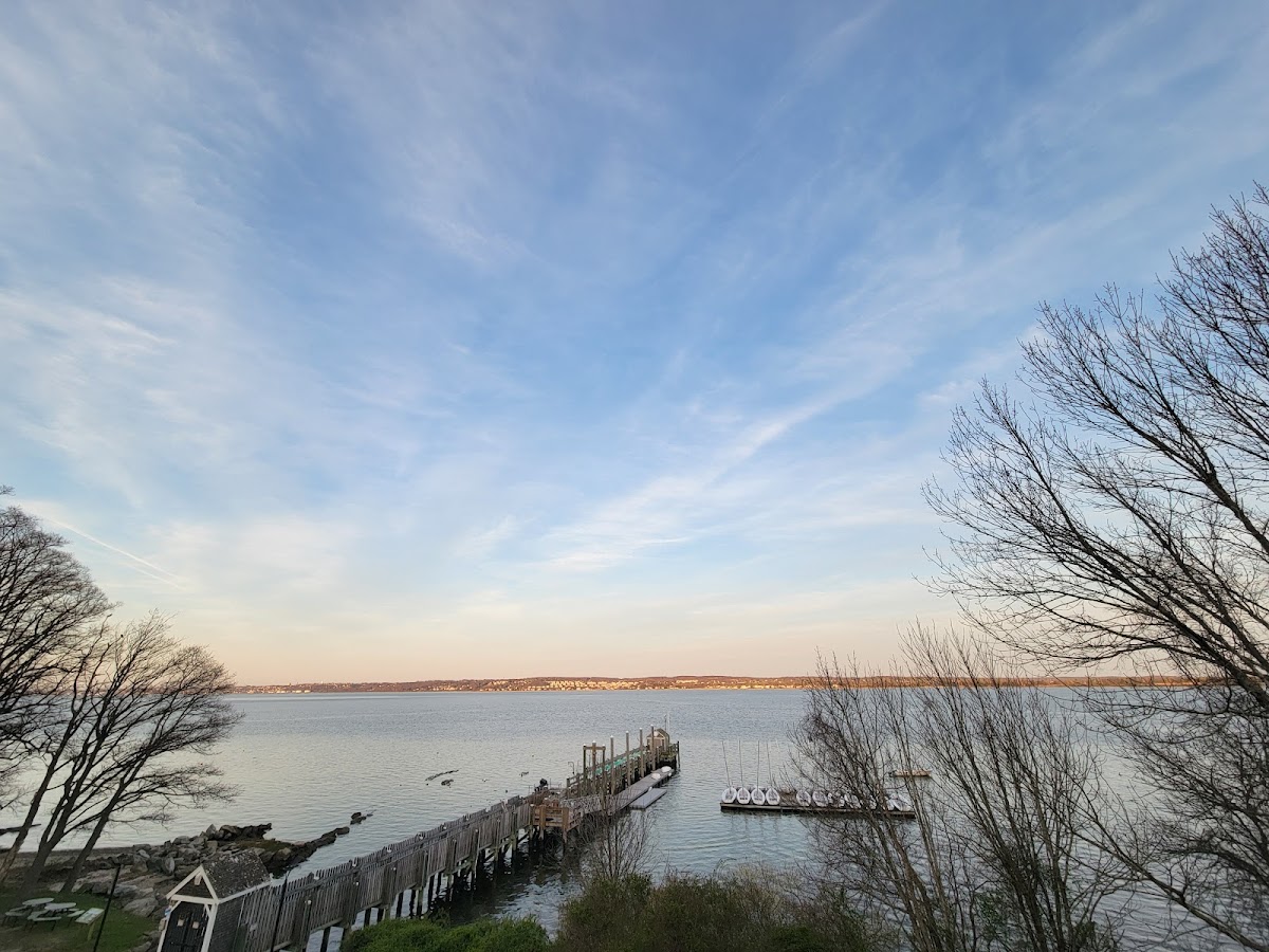 Roger Williams photo 3