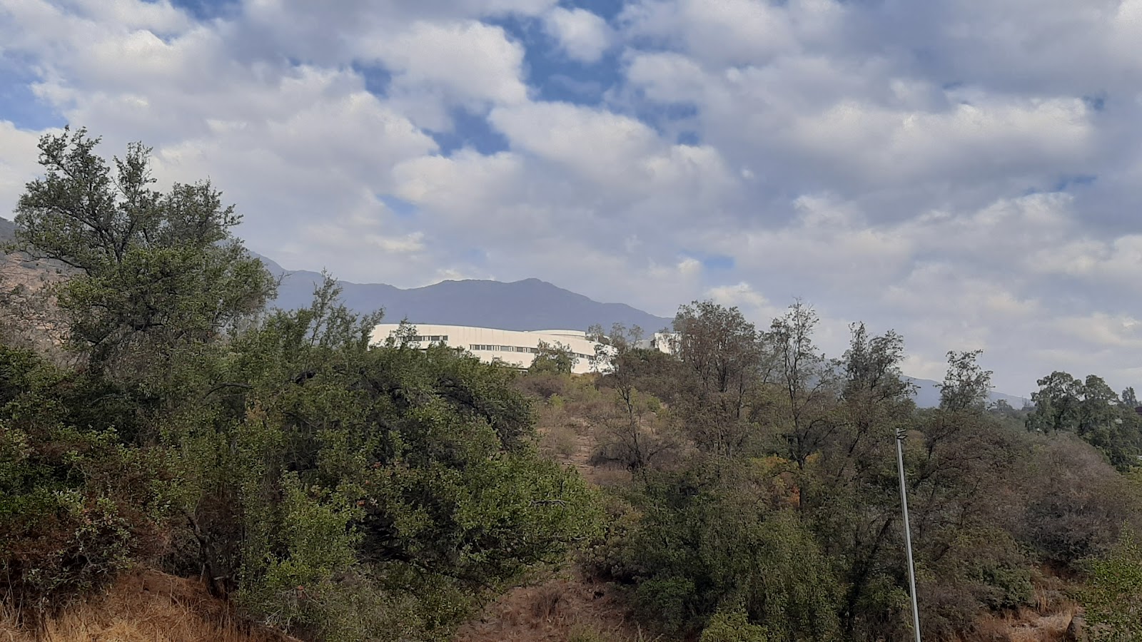 Adolfo Ibáñez University