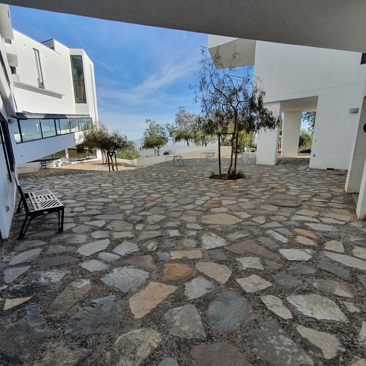 Adolfo Ibáñez University photo 6