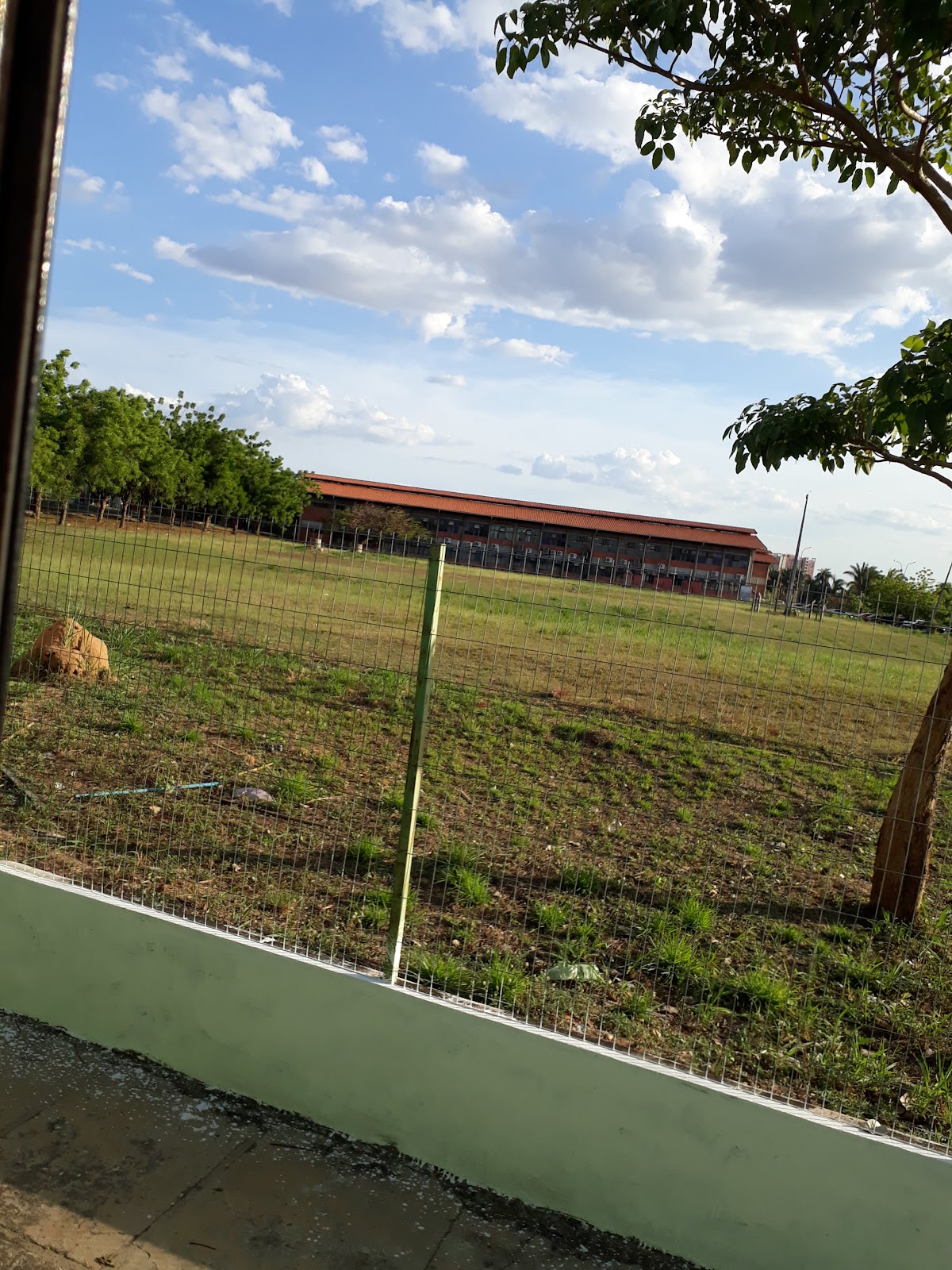 Federal University of Piauí photo 9