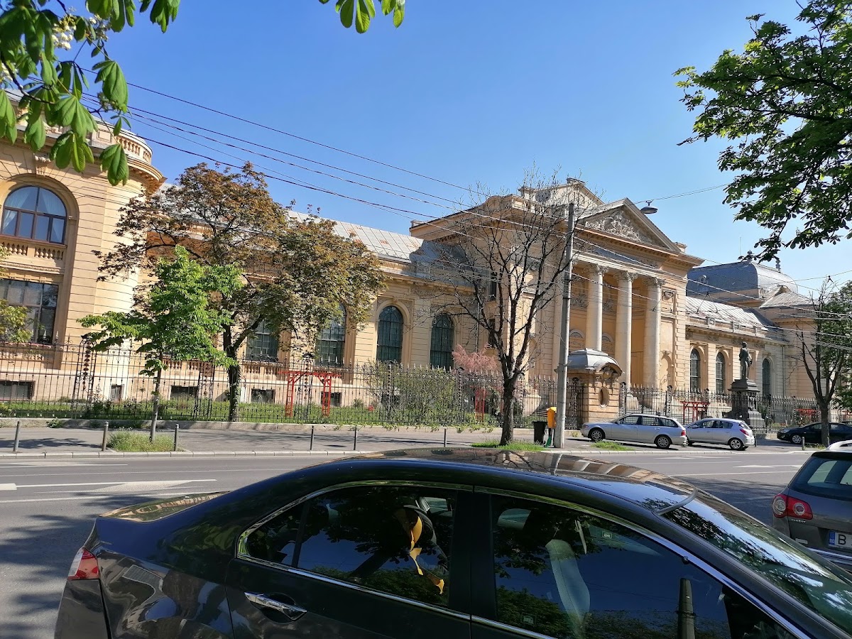 Carol Davila University of Medicine and Pharmacy photo 2