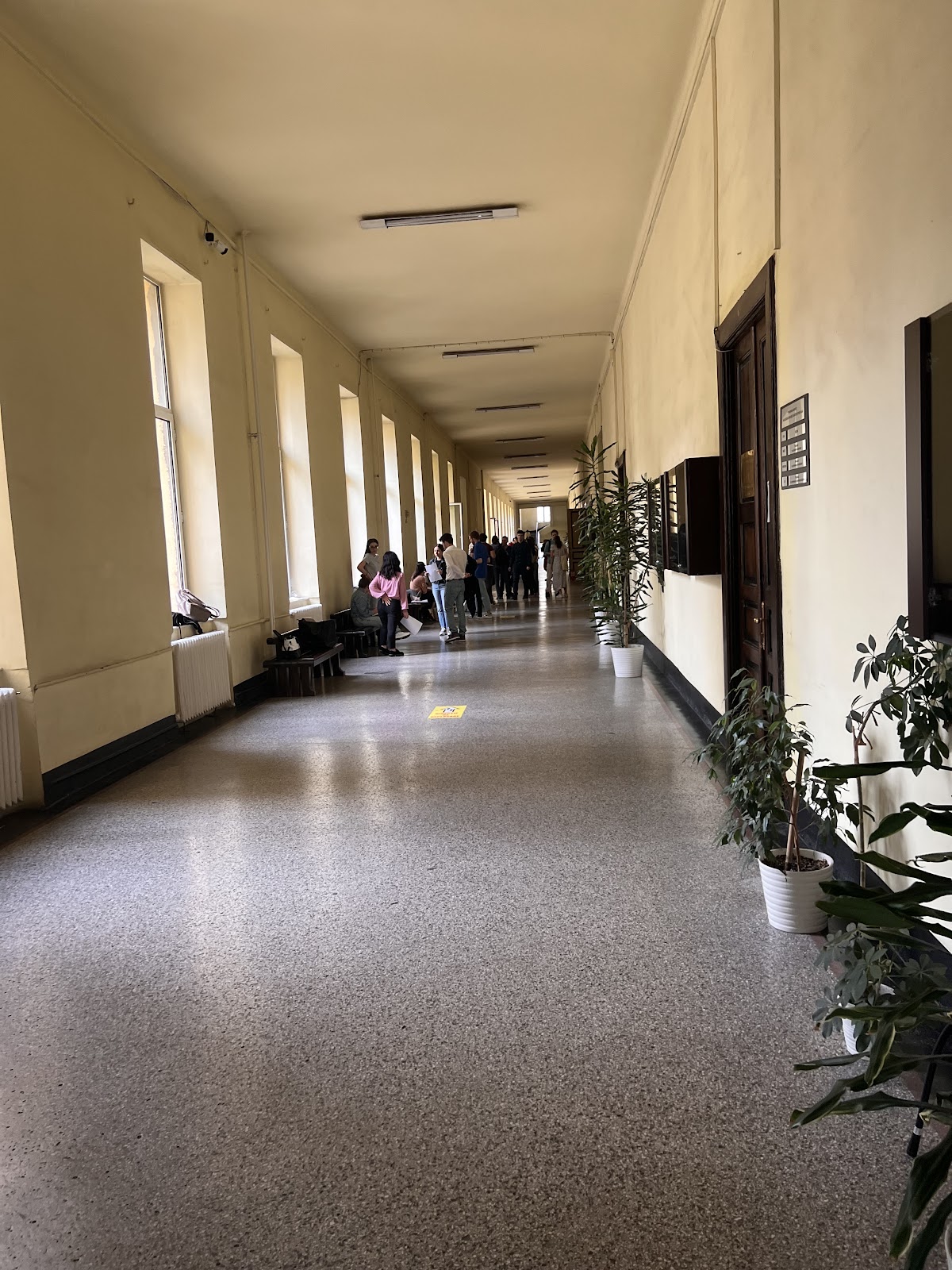 Carol Davila University of Medicine and Pharmacy photo 8