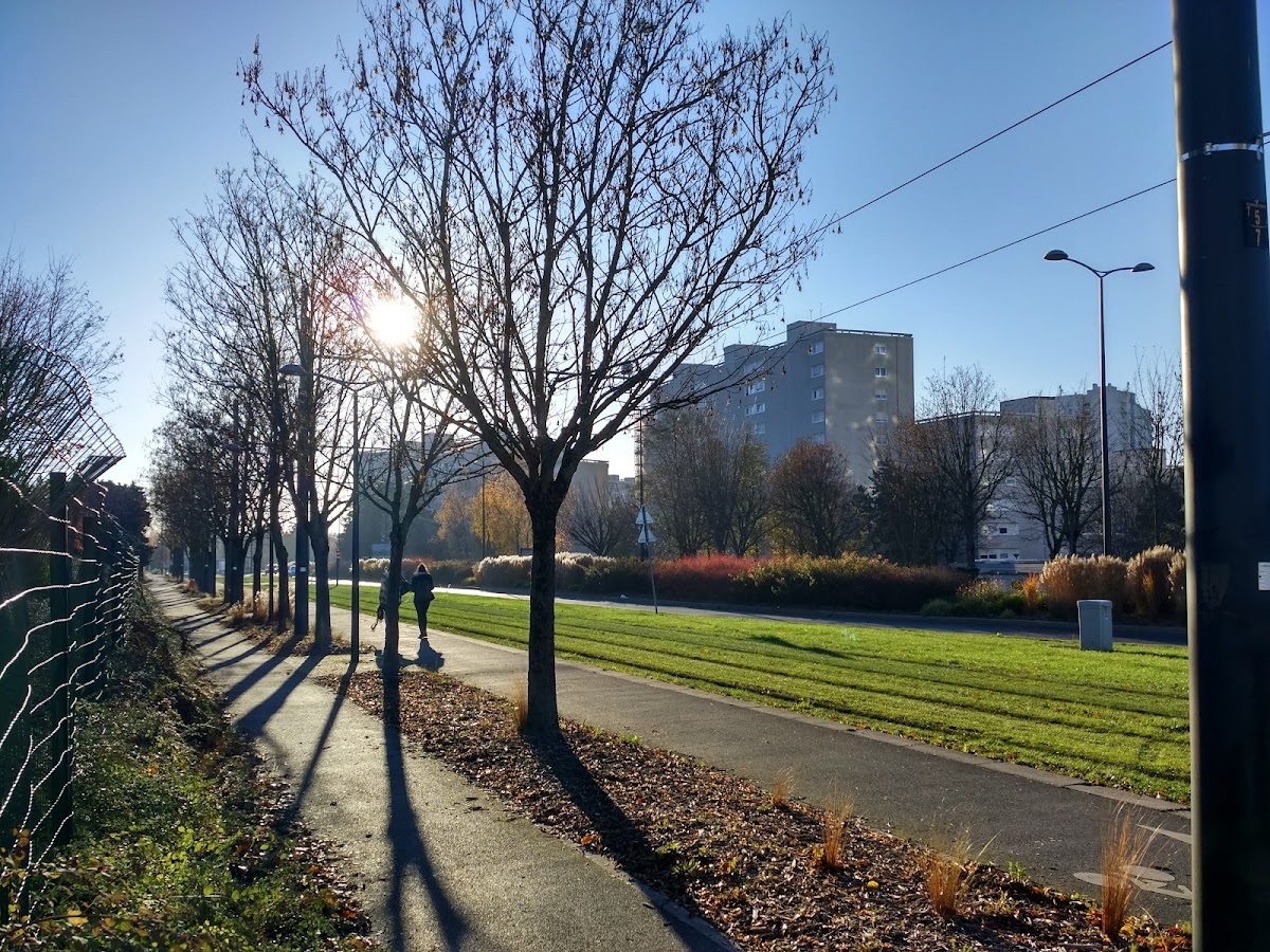 Université de Reims Champagne-Ardenne photo 4