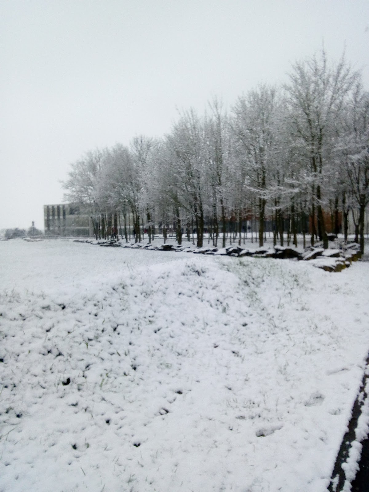 Université de Reims Champagne-Ardenne photo 5