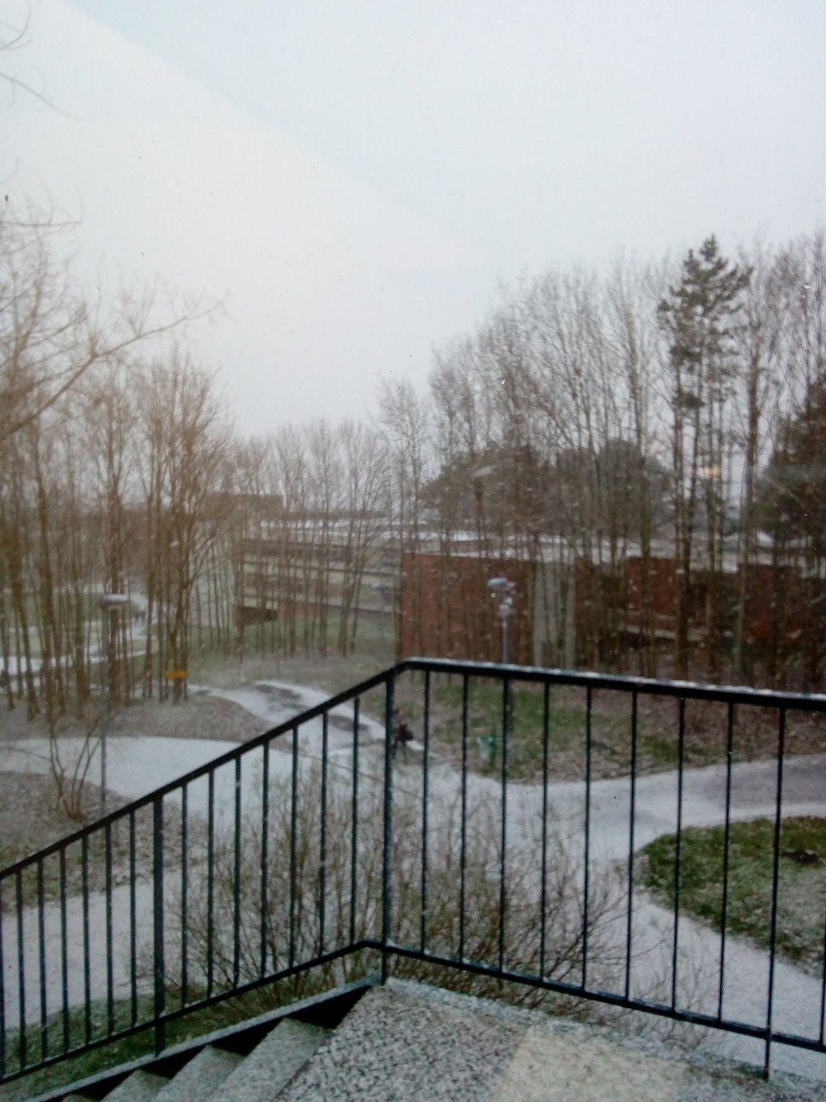 Université de Reims Champagne-Ardenne photo 6