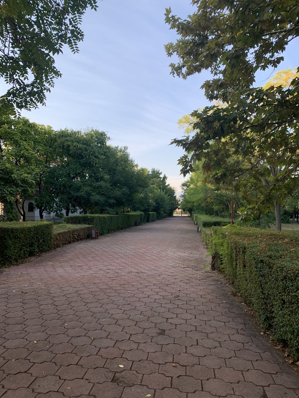 University of Plovdiv Paisii Hilendarski photo 6