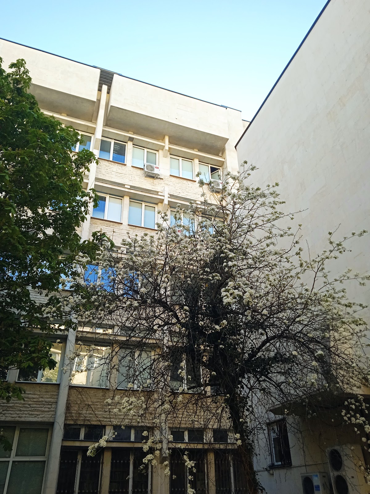University of Plovdiv Paisii Hilendarski photo 9