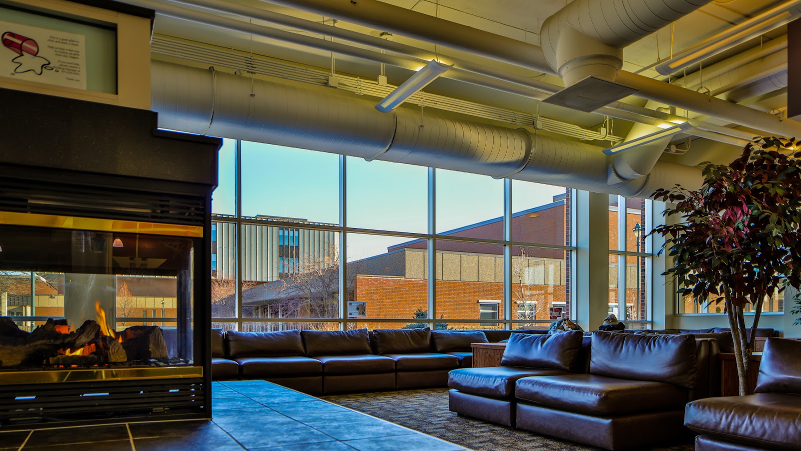 Southwest Minnesota State University