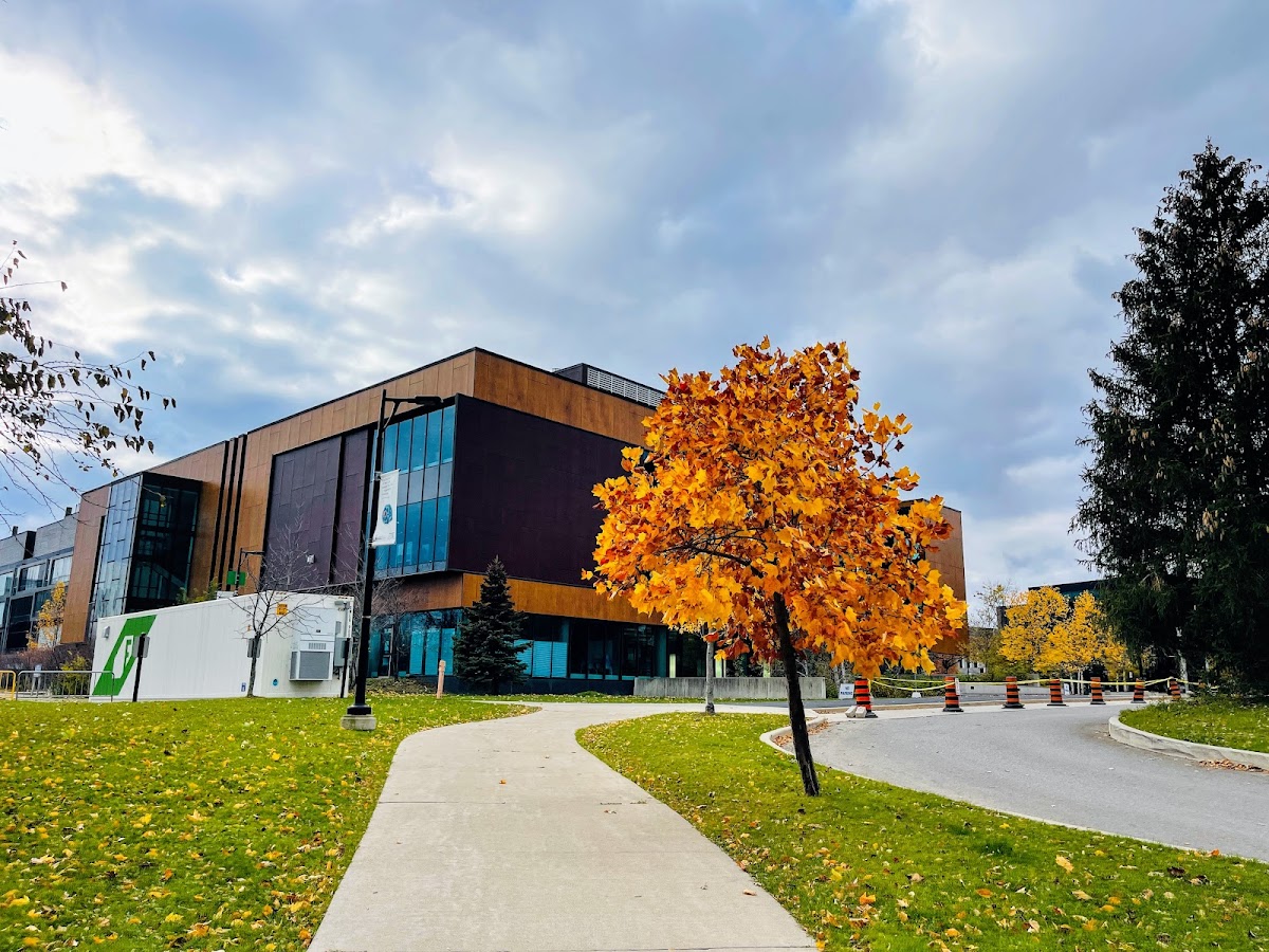 University of Toronto Mississauga photo 6