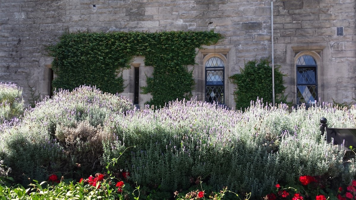 Trinity College Theological School photo 2