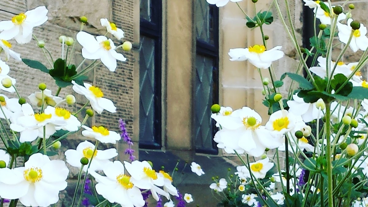 Trinity College Theological School photo 5