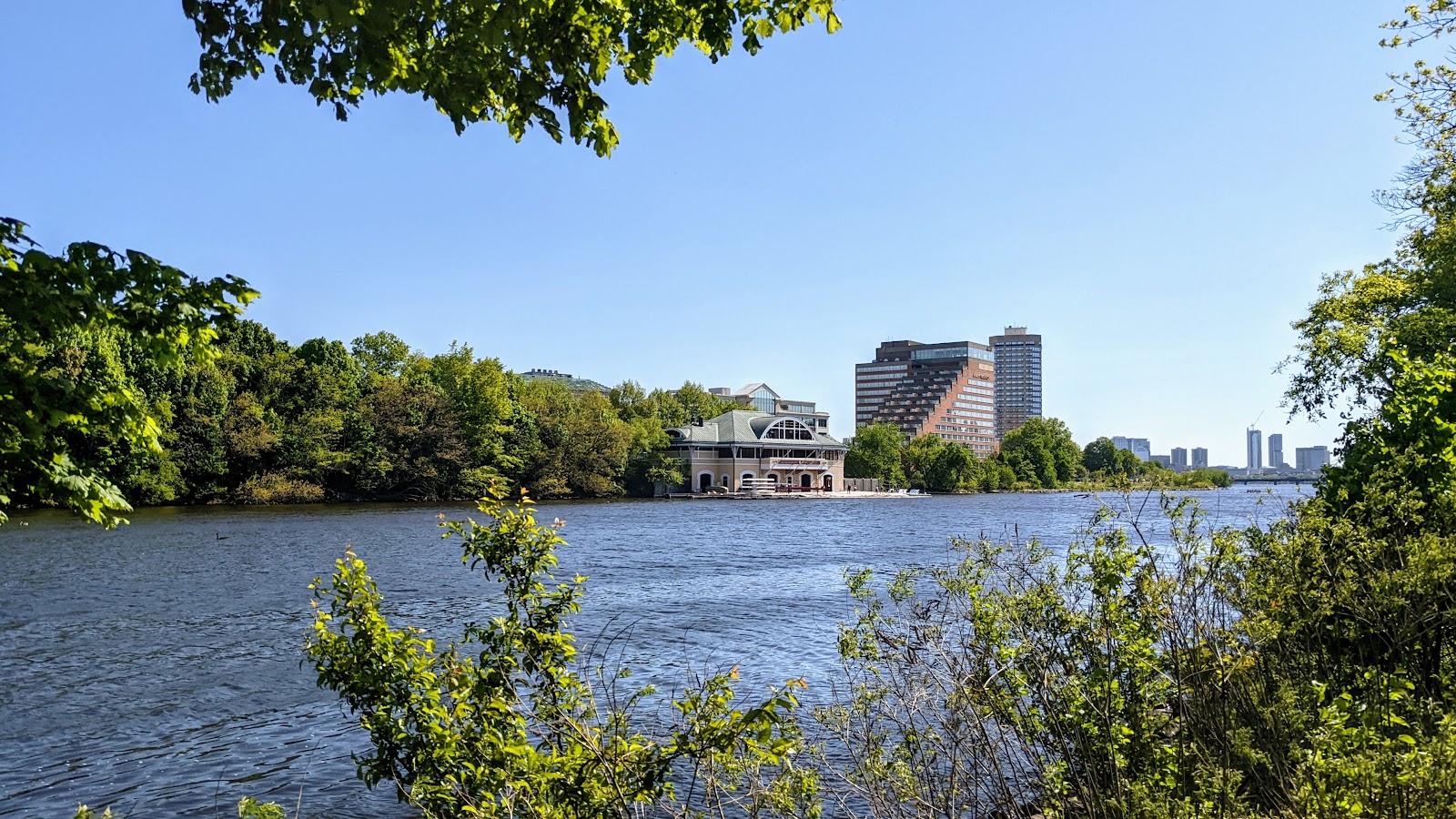 Boston University