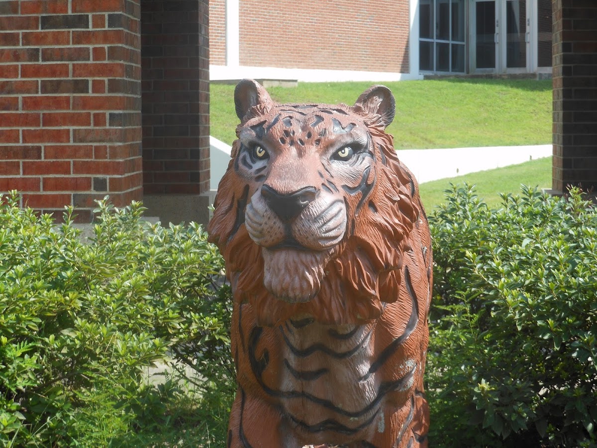 Grambling State University photo 6
