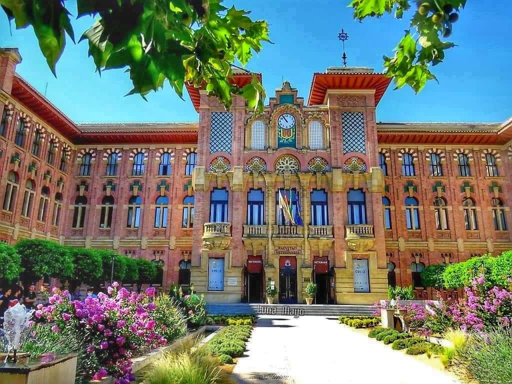University of Cordoba photo 4