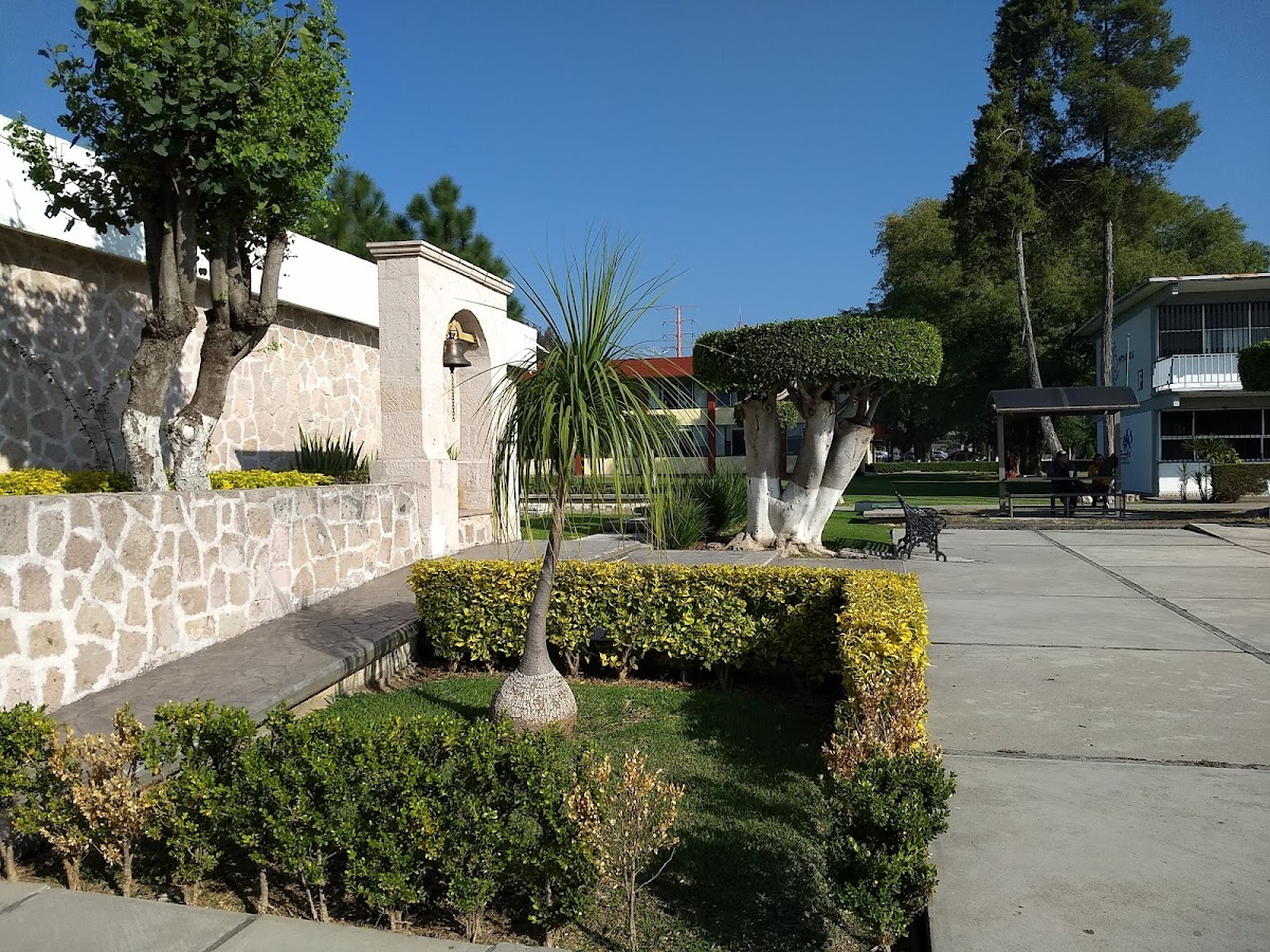 Technological Institute of Morelia photo 7