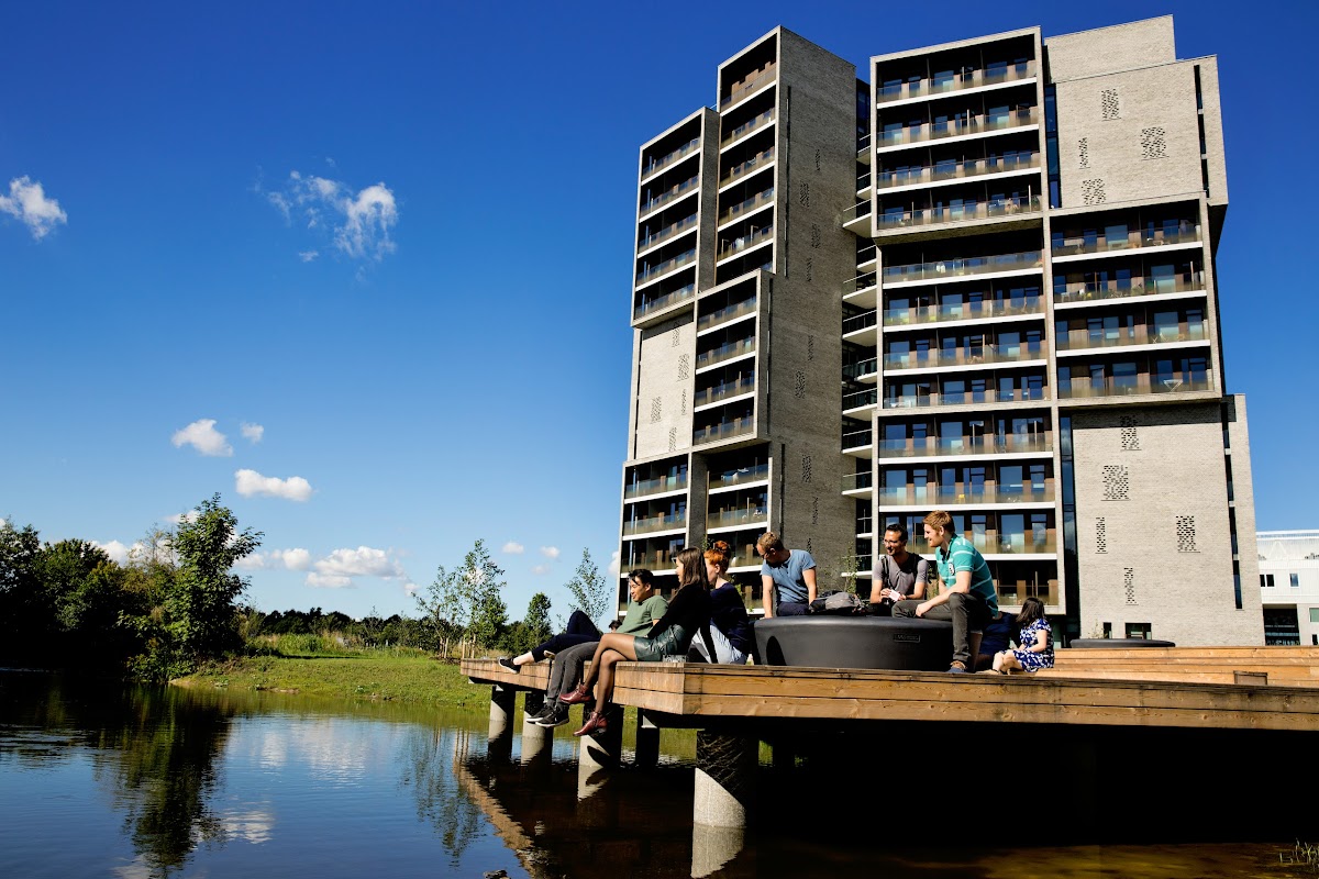 University College South Denmark photo 5