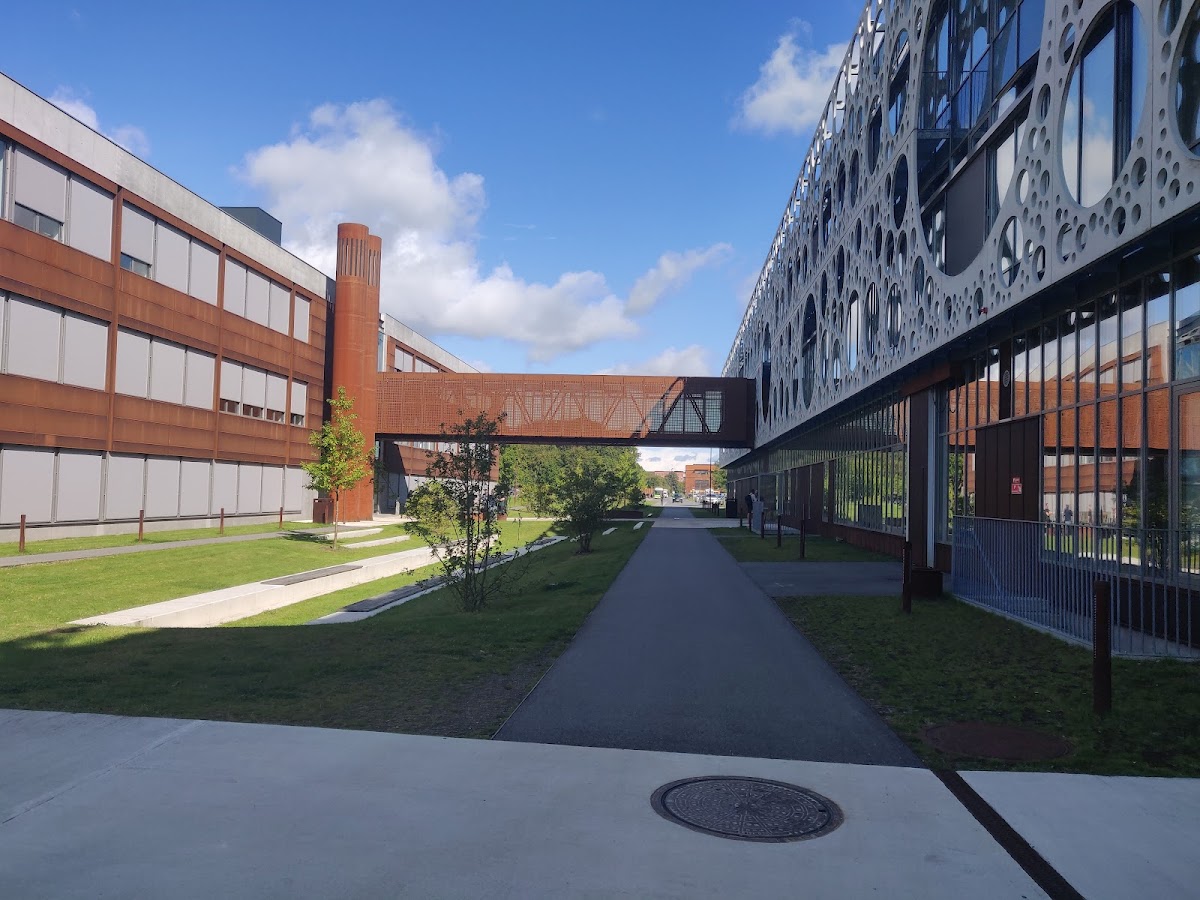 University College South Denmark photo 7
