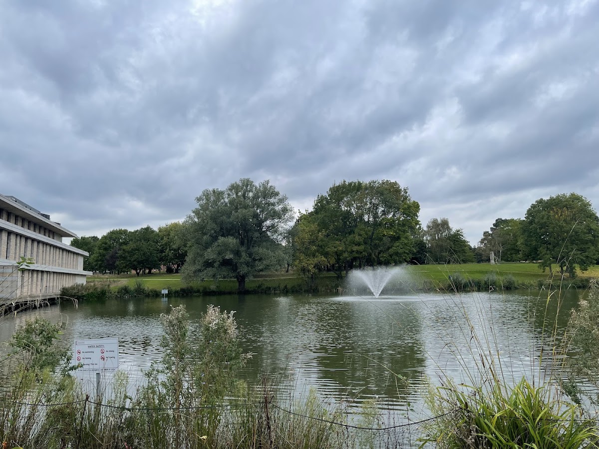 University of Essex photo 3