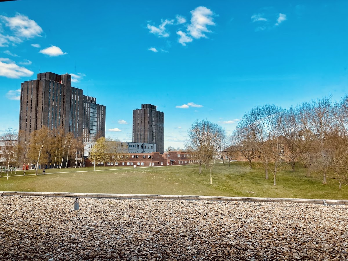 University of Essex photo 4