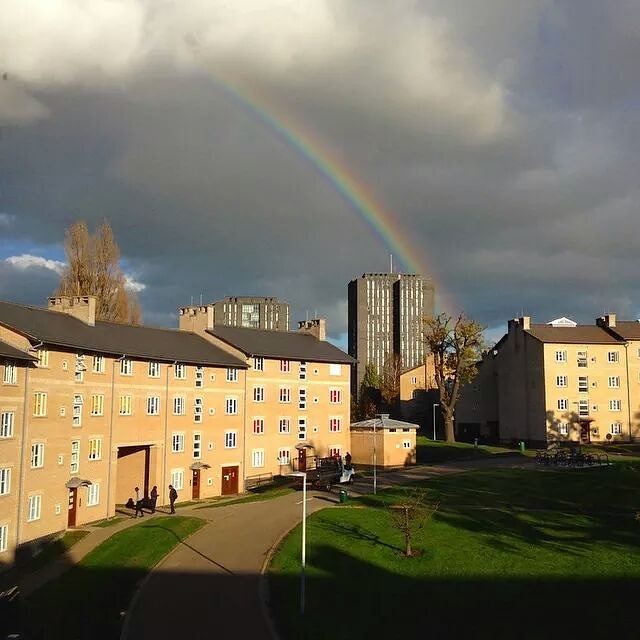 University of Essex photo 8
