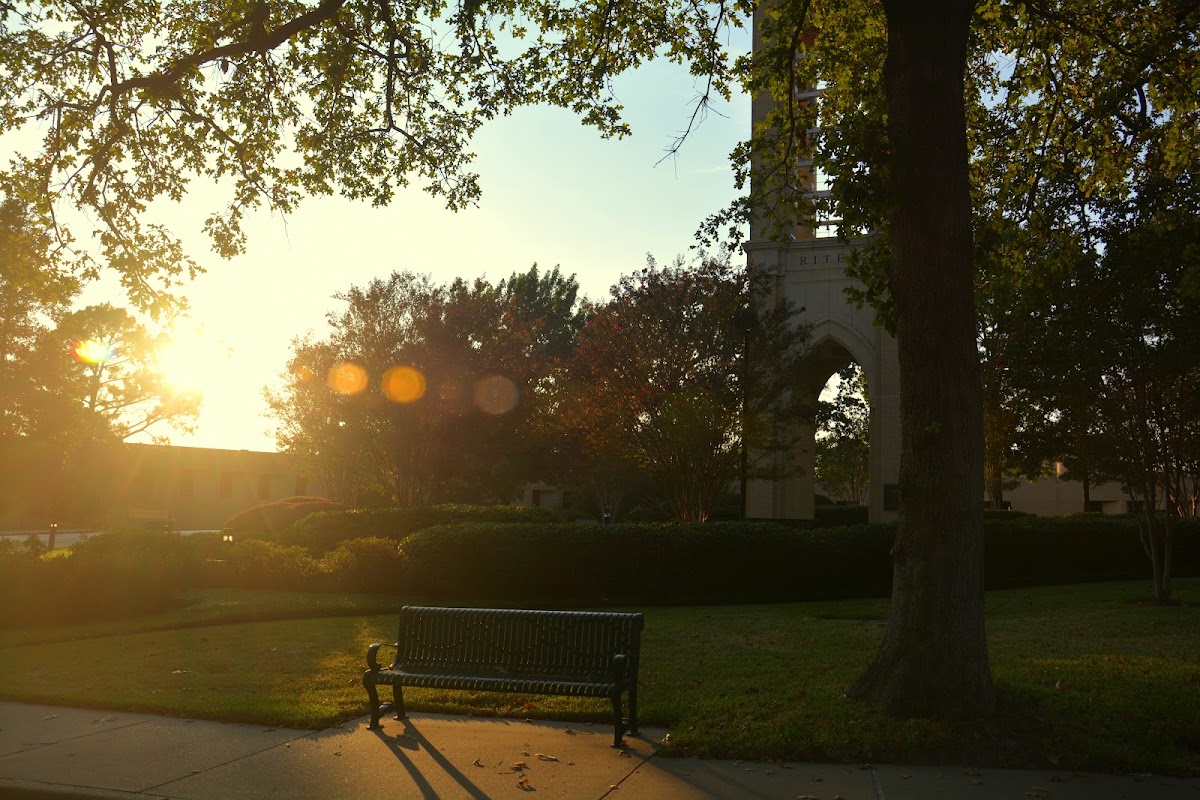 University of Texas Tyler photo 2