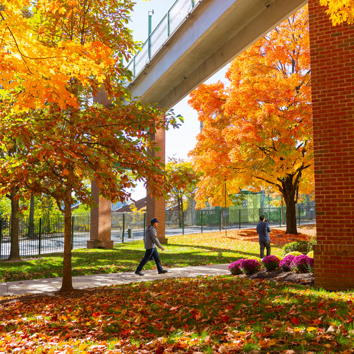 Manhattan College photo 6