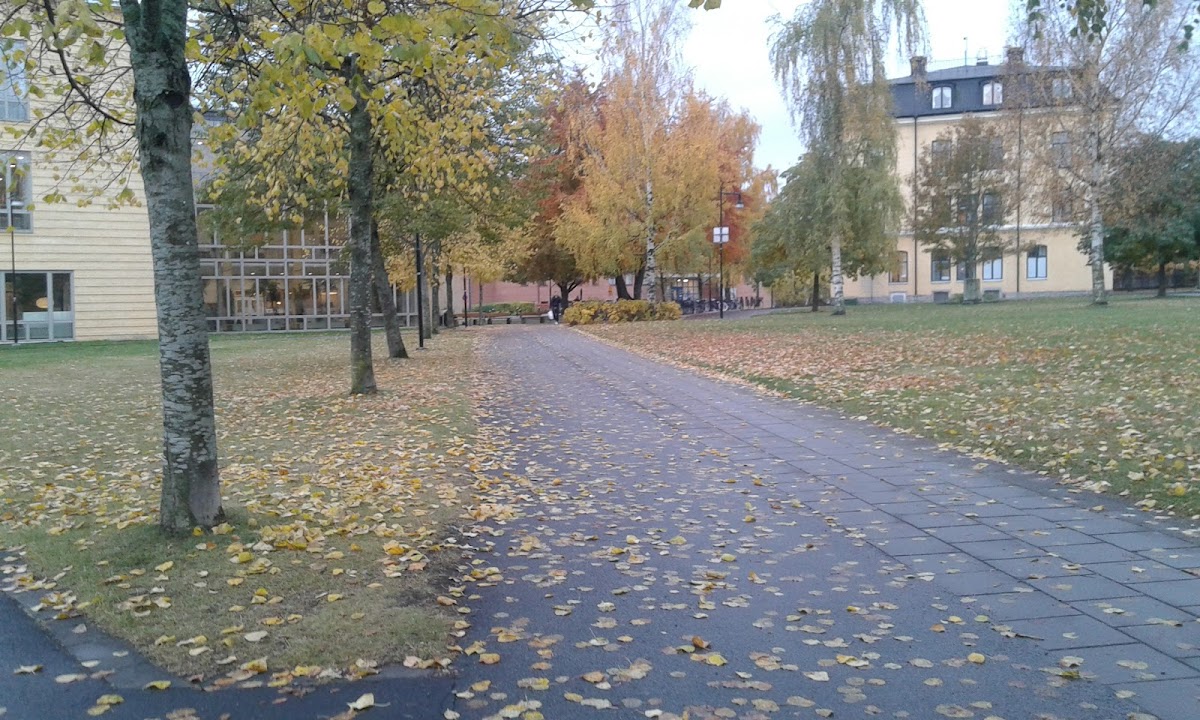 University of Skövde photo 4