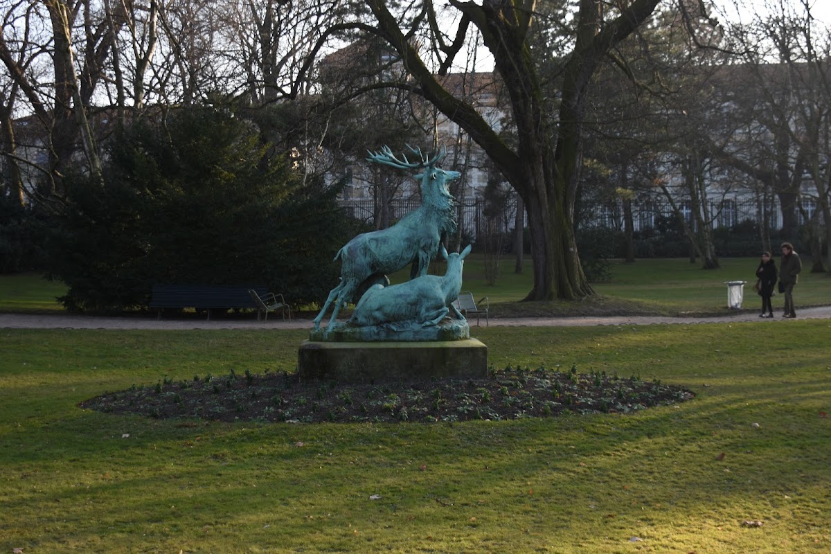 Université Paris-Panthéon-Assas photo 5