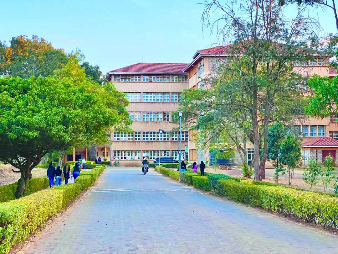 Jomo Kenyatta University of Agriculture and Technology photo 8