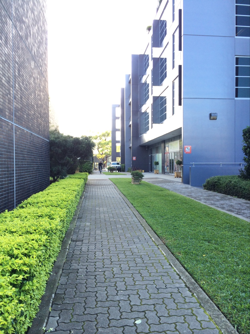 Taylors College photo 3