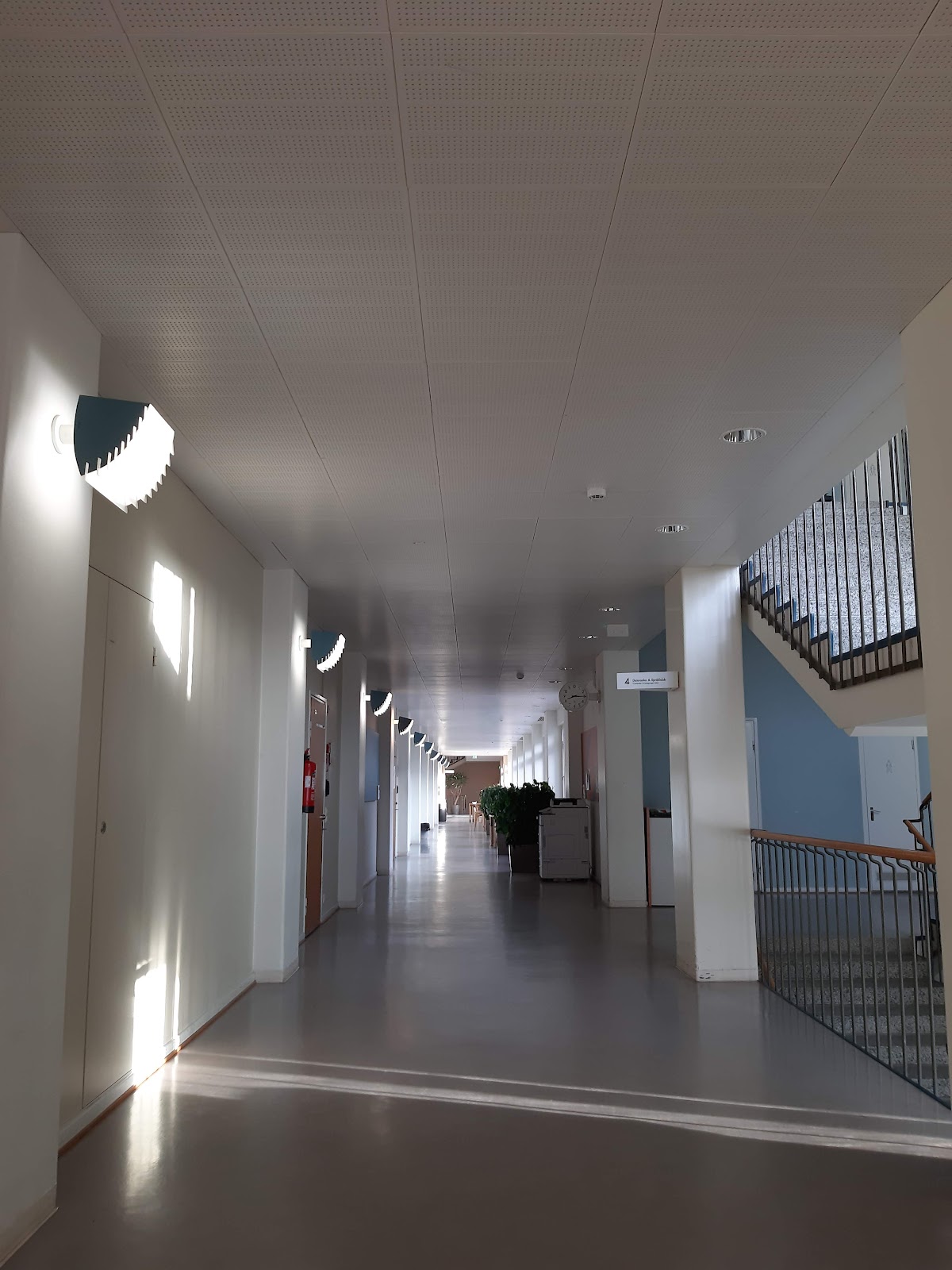 Hanken School of Economics photo 6