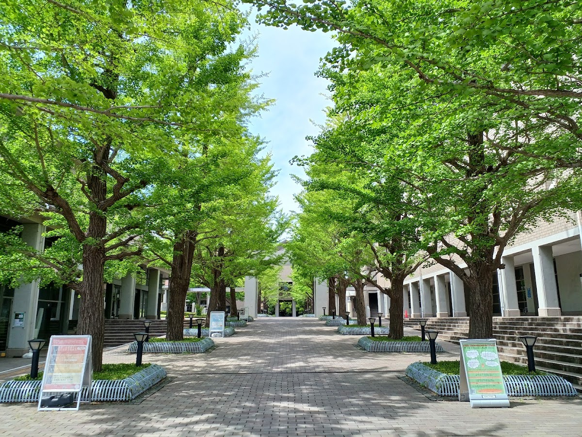 Tokyo Metropolitan University photo 4