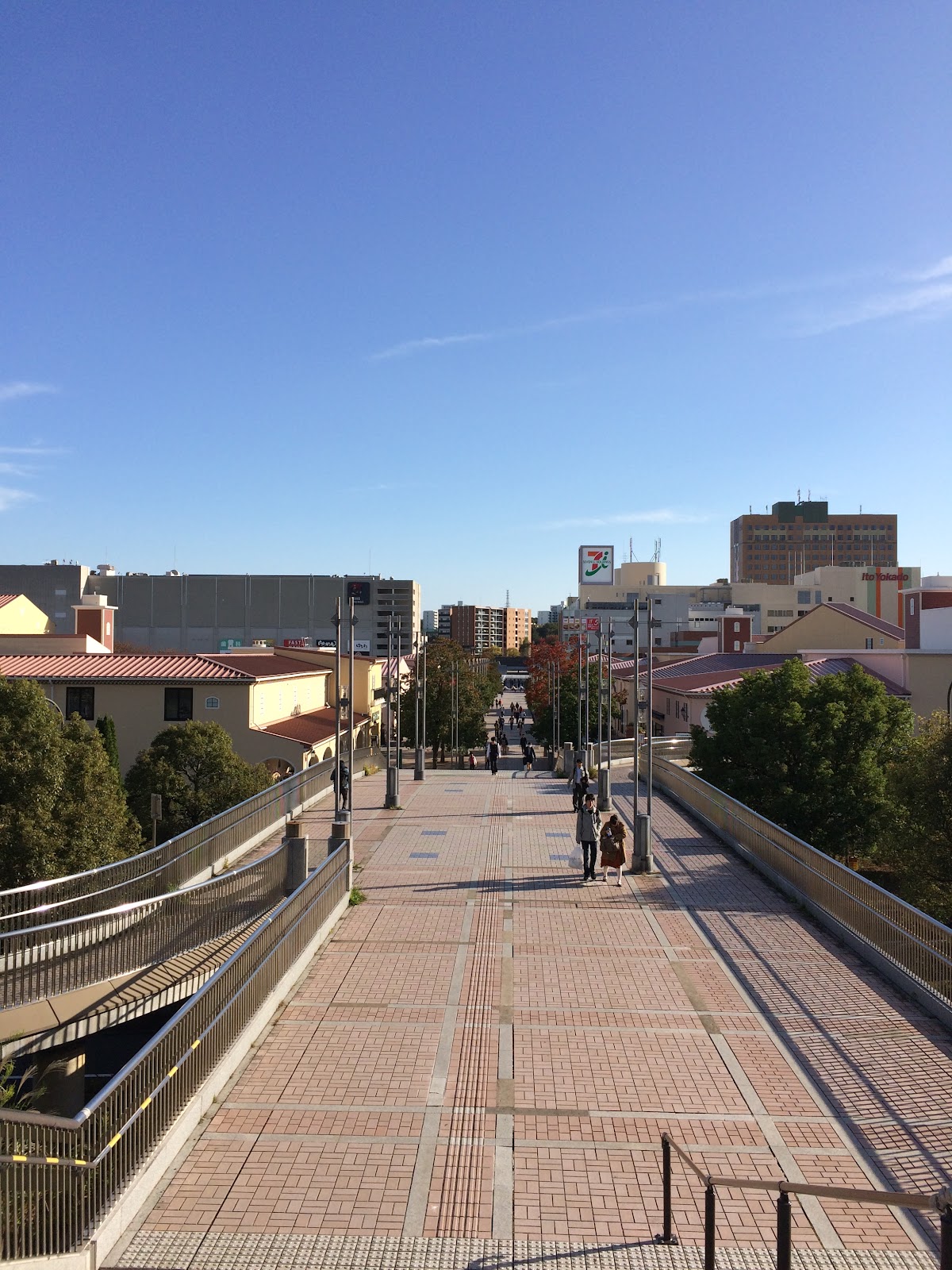 Tokyo Metropolitan University photo 9