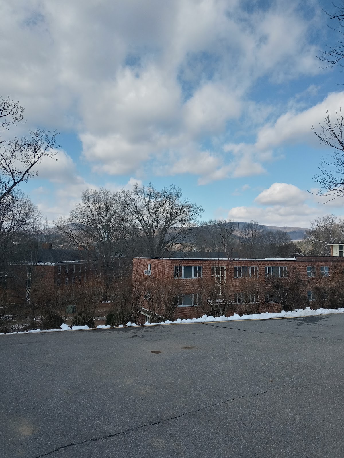 Hollins University photo 8