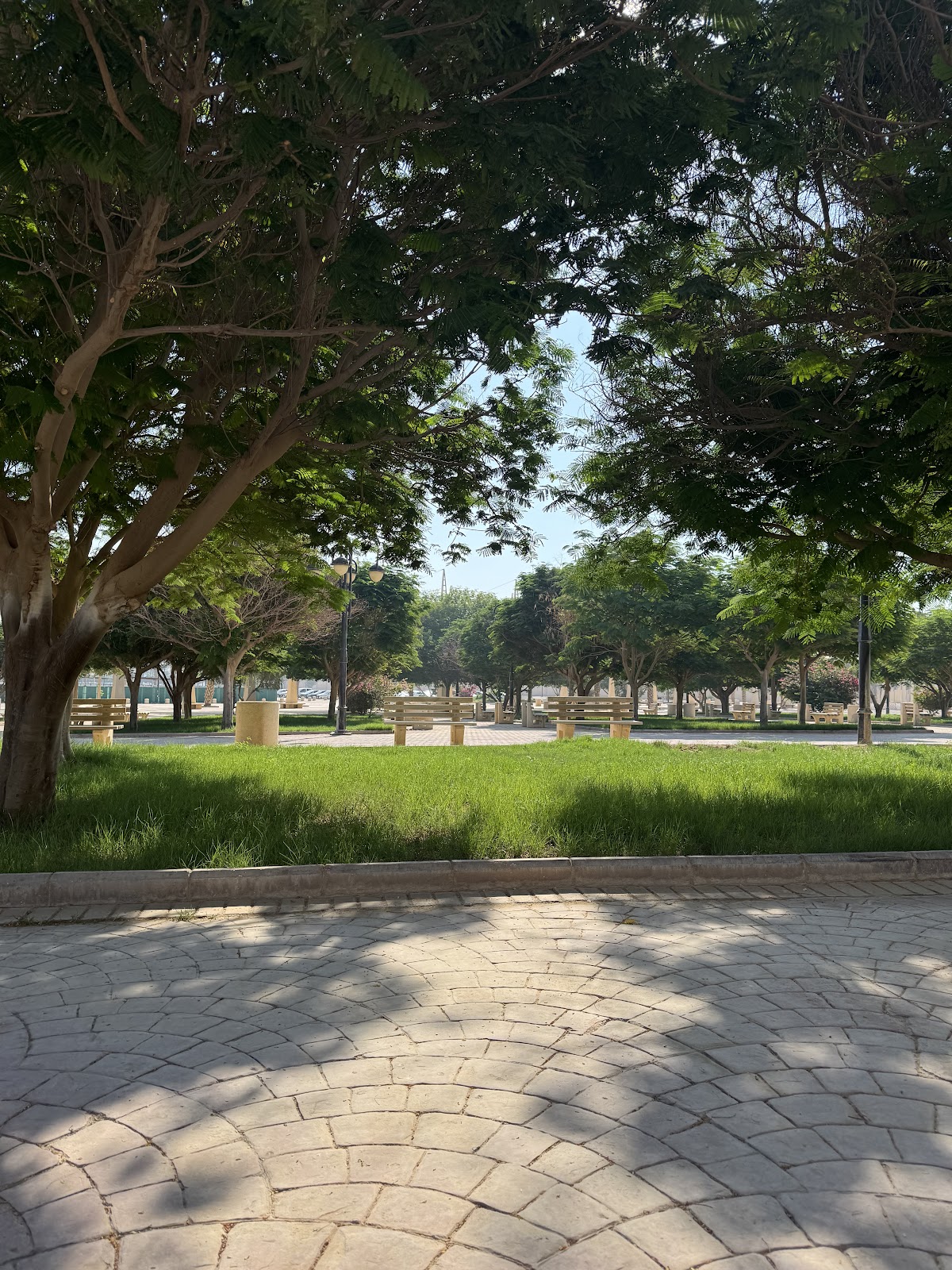 Prince Sattam Bin Abdulaziz University photo 8