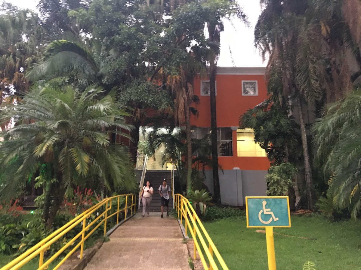 University of Santo Amaro photo 8