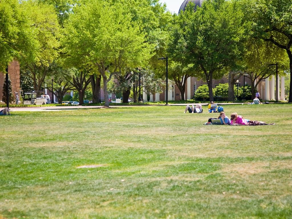 University of Southern Mississippi photo 6