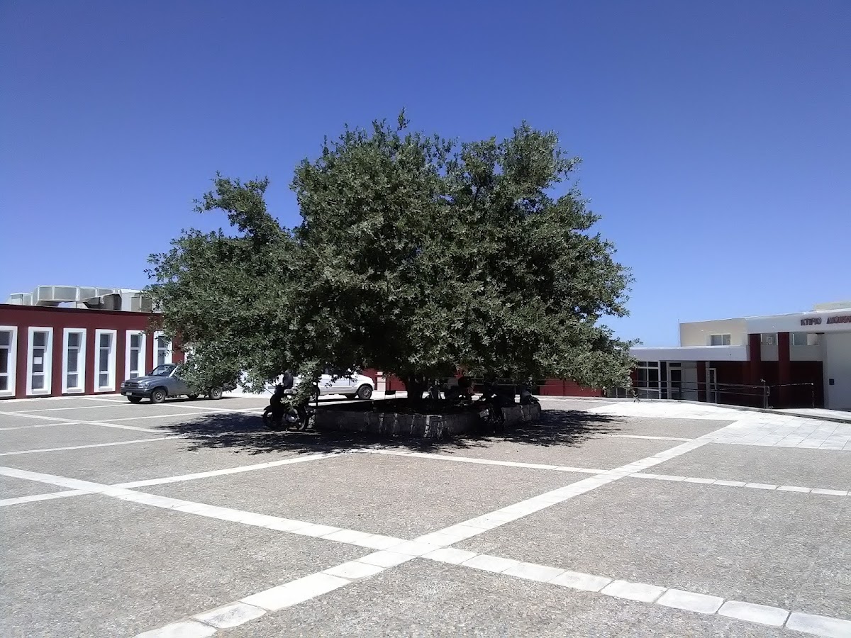 University of Crete - Rethymno photo 2