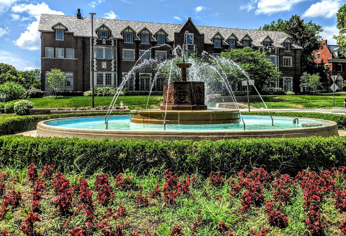 University of Kansas photo 5