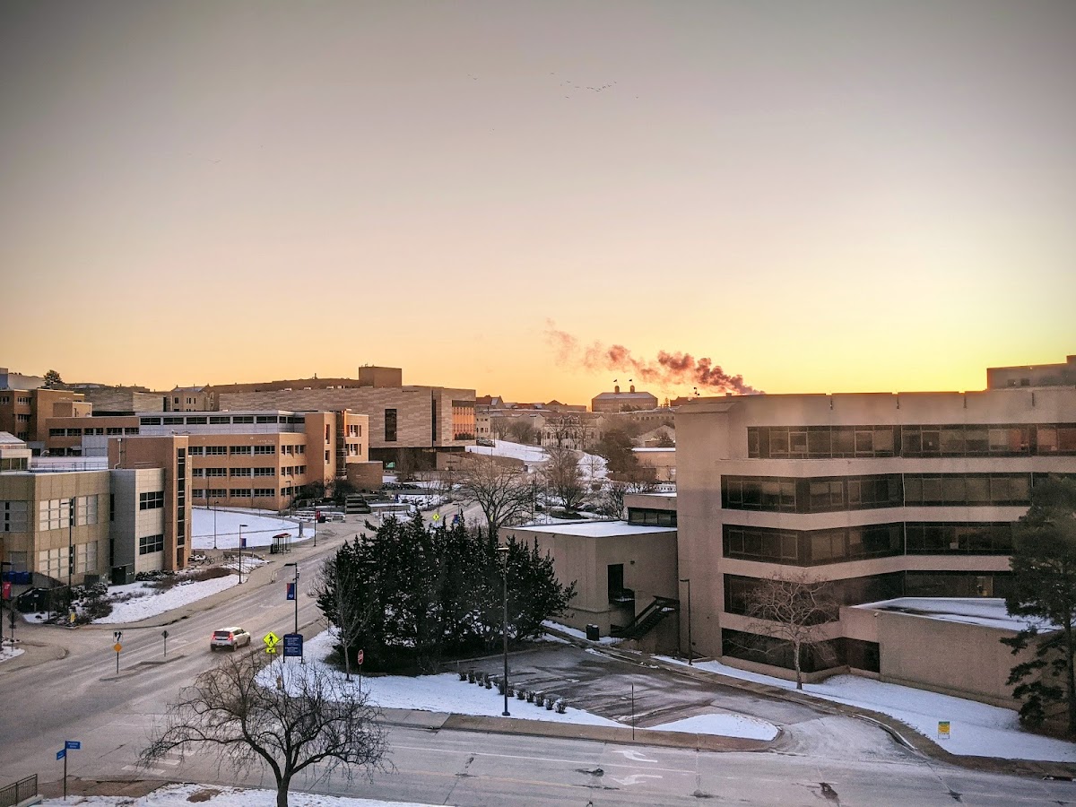 University of Kansas photo 8