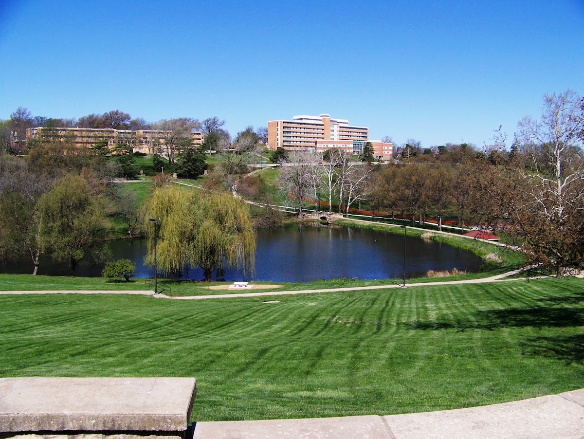 University of Kansas photo 9