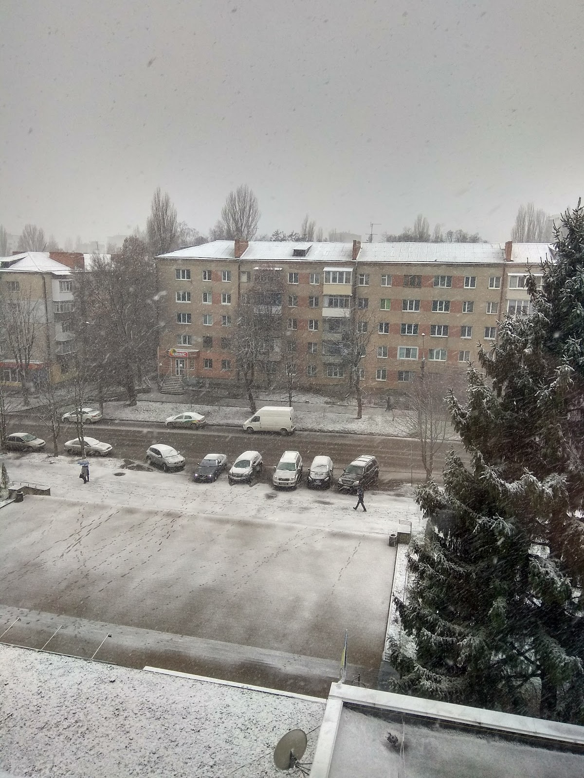 Donetsk National University named after Vasyl Stus photo 8