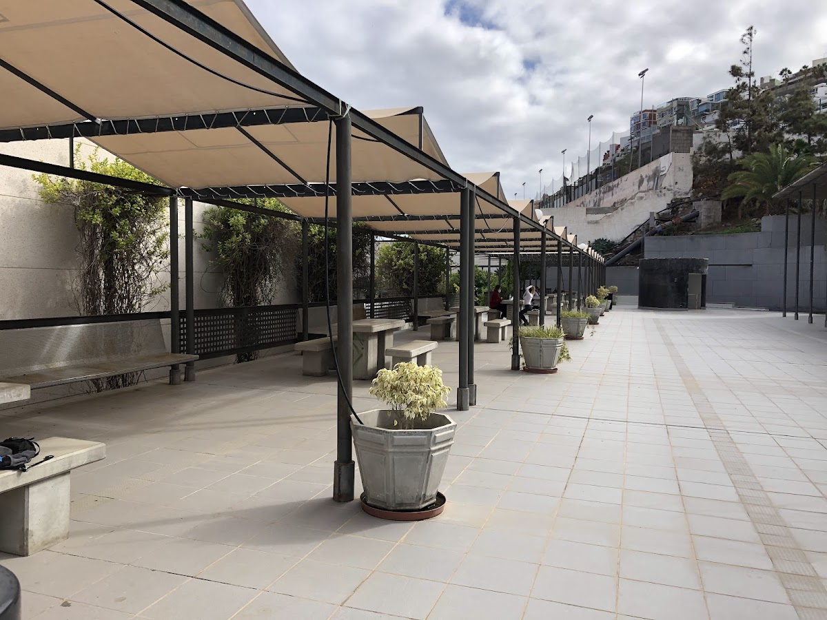 University of Las Palmas de Gran Canaria photo 7