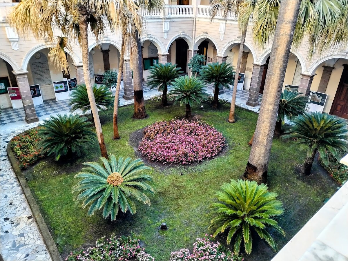 University of Sassari photo 6