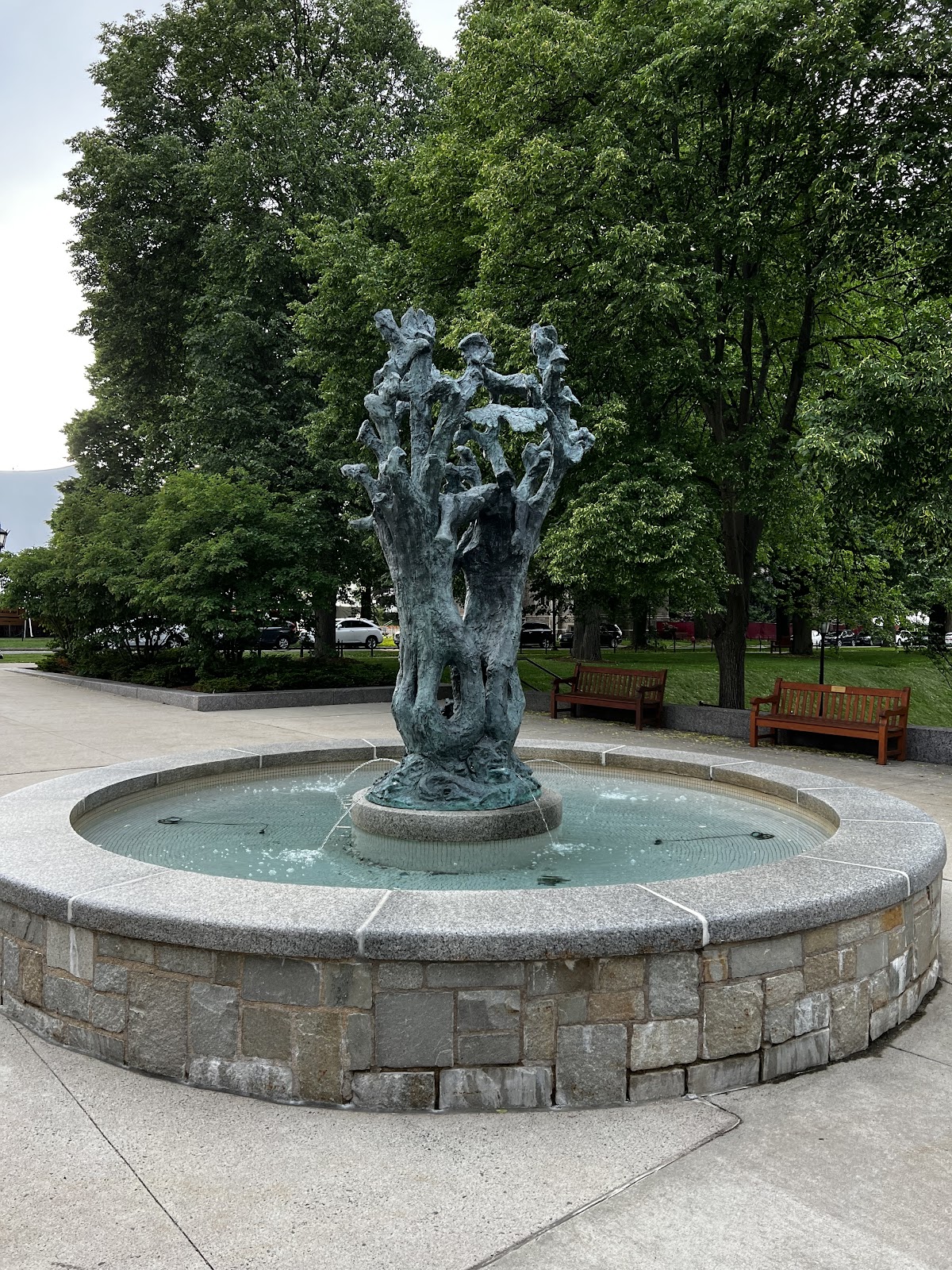 Boston College photo 9