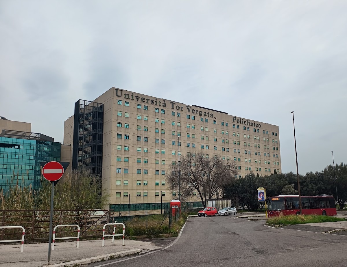 University of Roma Tor Vergata photo 7