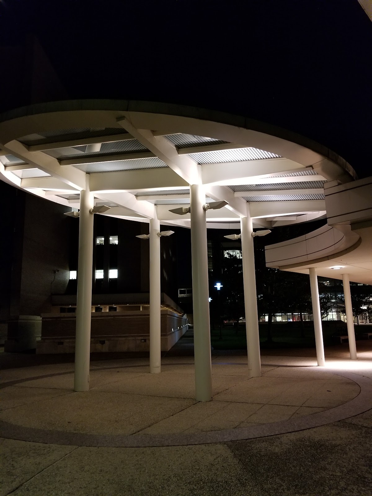 College of 2297 photo 6