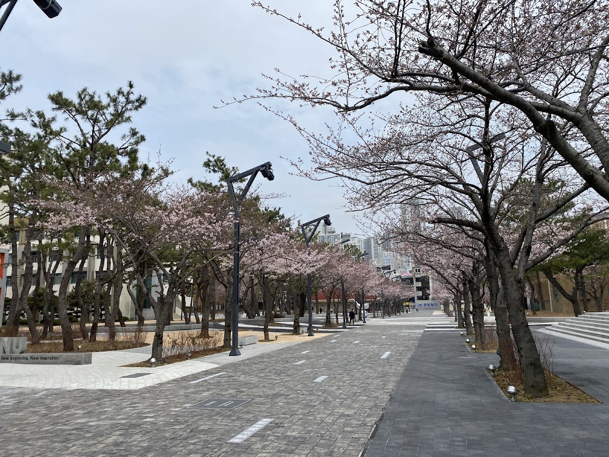 Pukyong National University photo 2